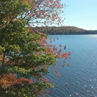 Kathleen Whipple Photo 19