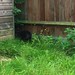 Bonnie Mower Photo 14