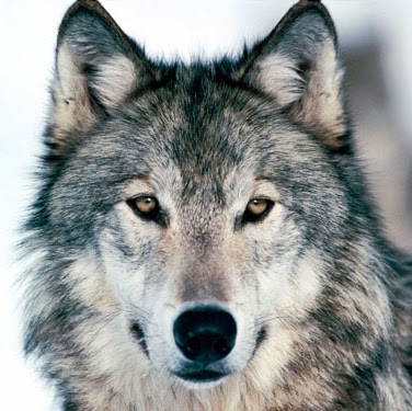 Marcia Summers Photo 28