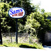 Sam Quick Photo 12
