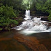 Cliff Dodd Photo 11
