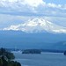 Debra Cooke Photo 15