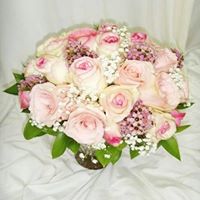 Linh Li Photo 5