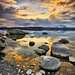 Laurie Stone Photo 15