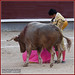 Juan Mora Photo 36