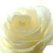 Lori Sunshine Photo 12