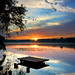 Dawn Carr Photo 20