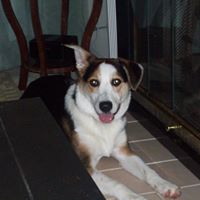 Janet Woodworth Photo 20