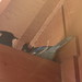 Jay Eaves Photo 5