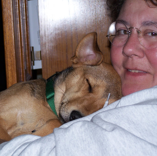 Debra Bassett Photo 23