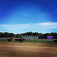 Mike Travers Photo 17
