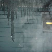 Jason Hoke Photo 11