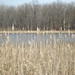 Wayne Marsh Photo 21