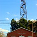 Virginia Cumberland Photo 3