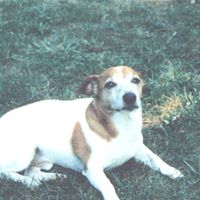 Joy Mcdonald Photo 44