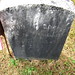 Carey Green Photo 29