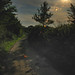 Sandy Hedges Photo 15
