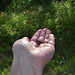 Karen Prince Photo 21
