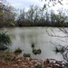 Kenneth Harrell Photo 28