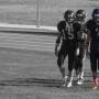 David Padron Photo 17