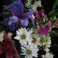 Dana Mathews Photo 9