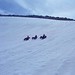 Susan Magill Photo 15