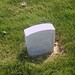 Daniel Cline Photo 15