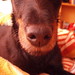 Judy Betts Photo 18