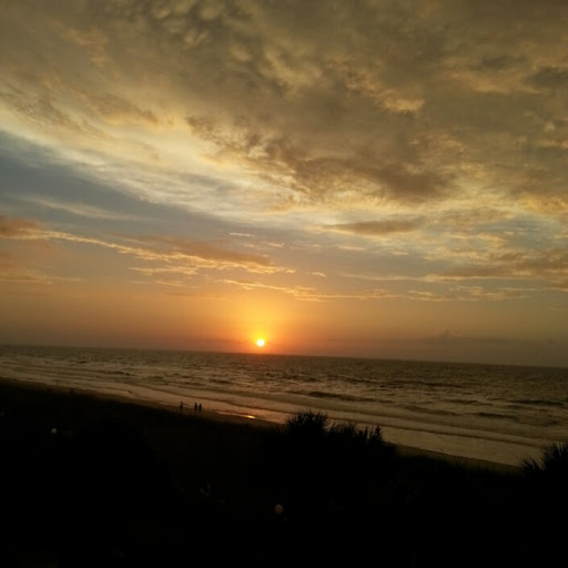 Diane Rodgers Photo 21