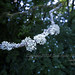 Marianne Hendricks Photo 11
