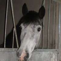 Catherine Watt Photo 5