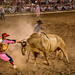 Kenny Larson Photo 13