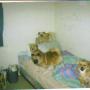 Nancy Clark Photo 46