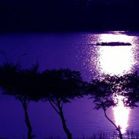 Da Zhao Photo 5
