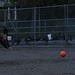 Colleen West Photo 16