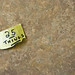 Shawn Fortune Photo 16