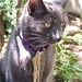 Sammy Short Photo 20