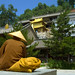 Tai Wu Photo 34
