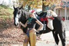 Kathy Carpenter Photo 3