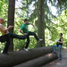 Colleen Tobin Photo 10