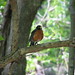 Robin Magee Photo 39