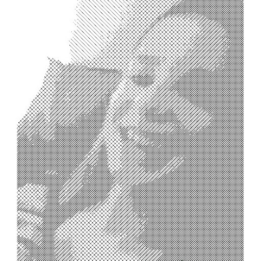 Hannah Townsend Photo 12
