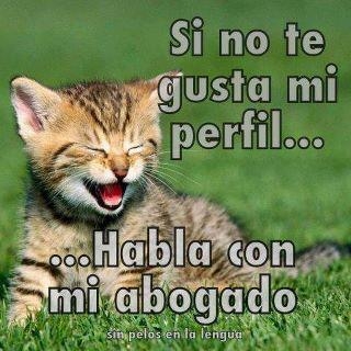 Janet Duarte Photo 14