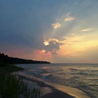 Susan Forsyth Photo 18