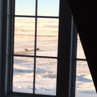 Judy Simonson Photo 15