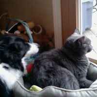Karen Rizzo Photo 18