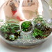 Paula Hayes Photo 24
