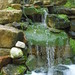 Joseph Workman Photo 37