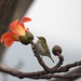 Melinda Whiting Photo 17