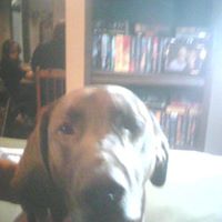 Elizabeth Capps Photo 33